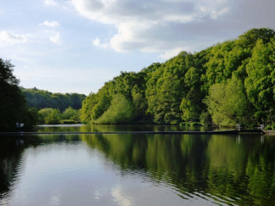 Newmillerdam Country Park